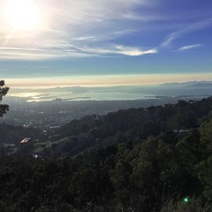 Meet your Posher, Dulceasenavaicnelav